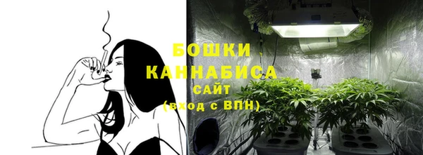 ПСИЛОЦИБИНОВЫЕ ГРИБЫ Абдулино