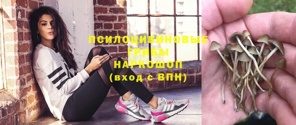ПСИЛОЦИБИНОВЫЕ ГРИБЫ Абдулино
