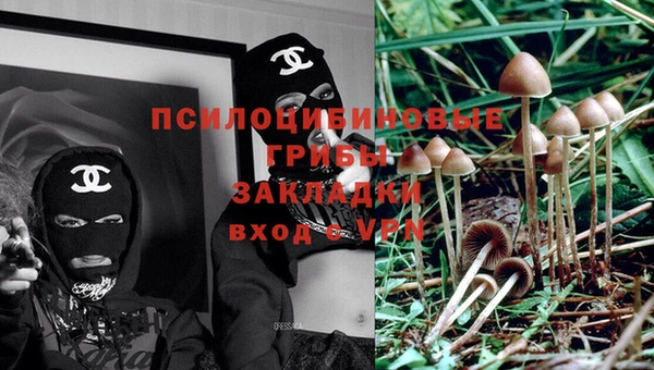 ПСИЛОЦИБИНОВЫЕ ГРИБЫ Абдулино
