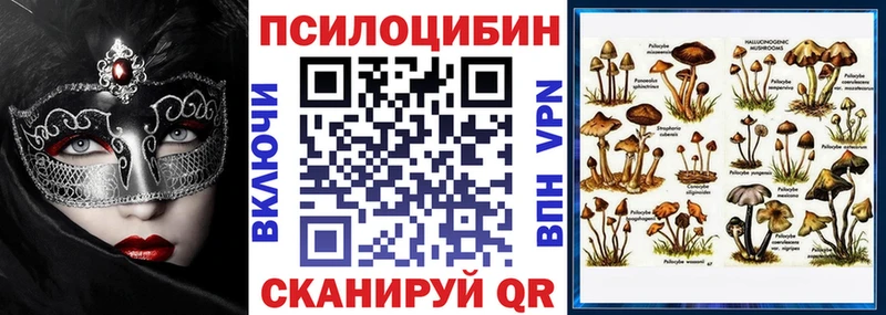 где можно купить наркотик  Грозный  Галлюциногенные грибы Cubensis 