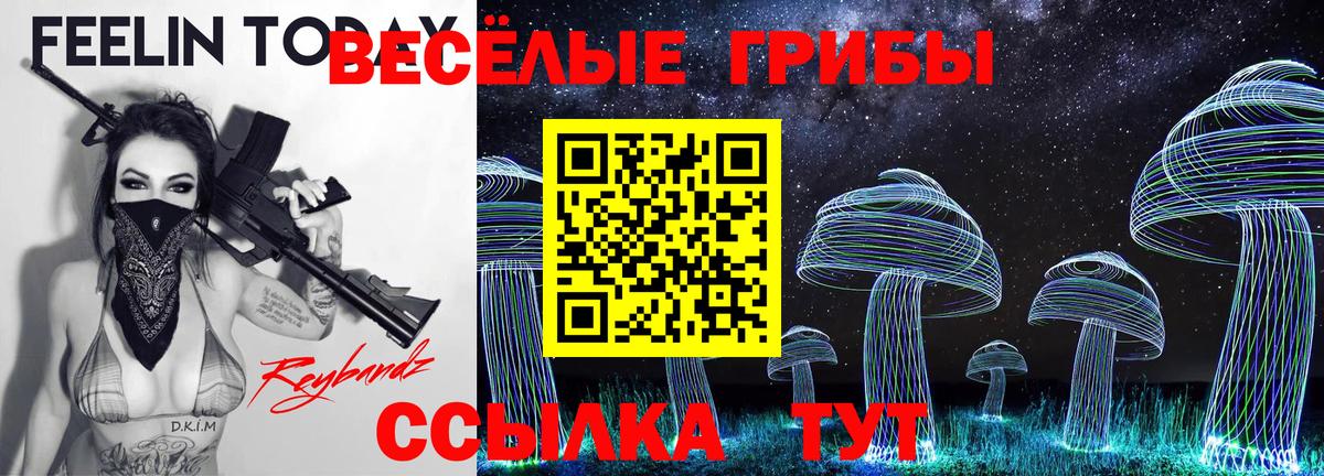 Псилоцибиновые грибы ЛСД Грозный