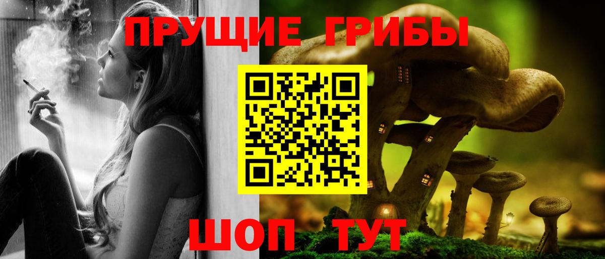 Грозный  Псилоцибиновые грибы MAGIC MUSHROOMS  Вход с VPN 