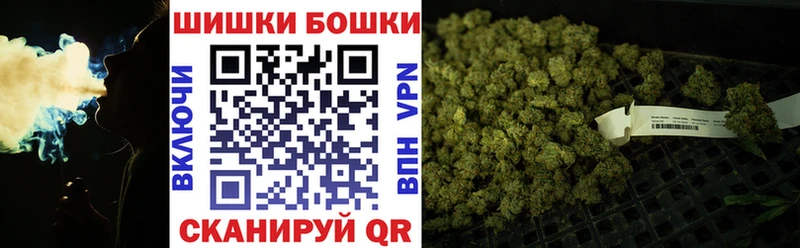 как найти наркотики  Грозный  Бошки Шишки индика 